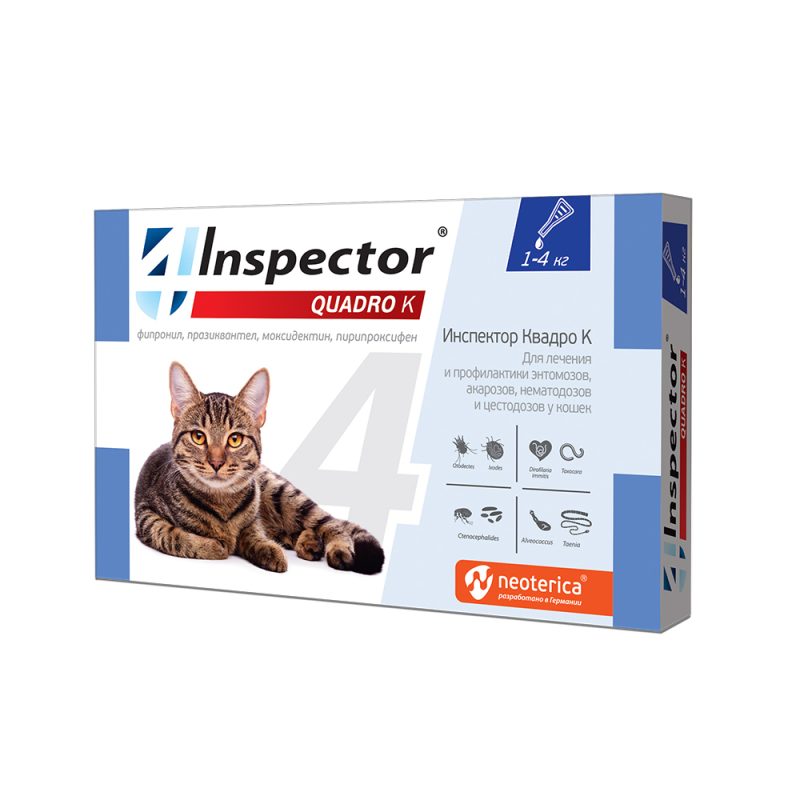 INSPECTOR QUADRO K SPOT-ON FOR CATS • Megavet